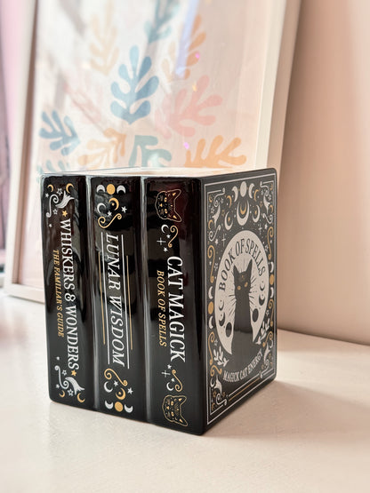 Bruciaessenze libro degli incantesimi del gatto magico